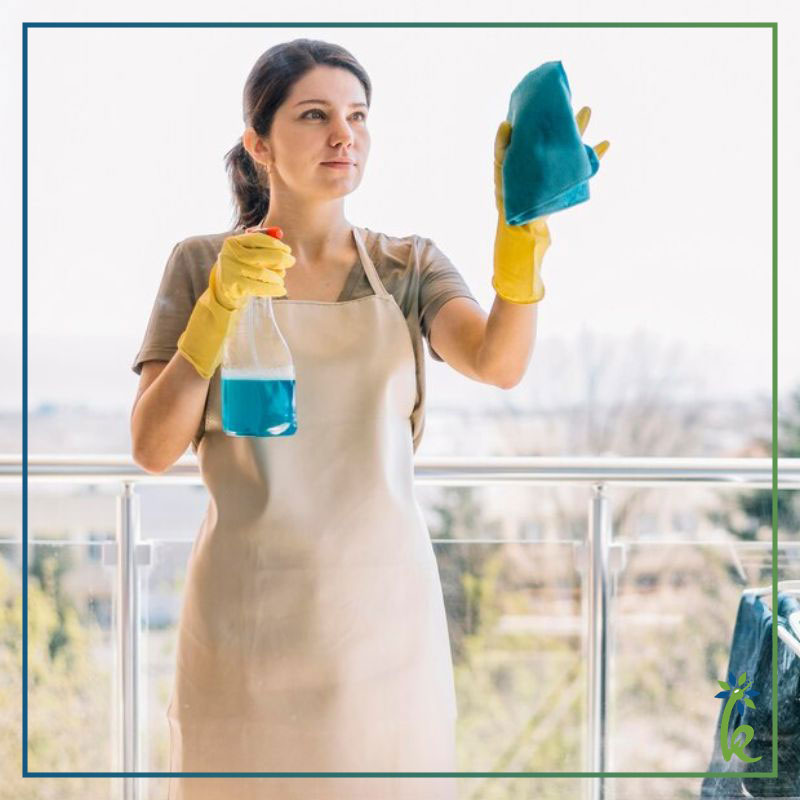 Glass Cleaner Concentrate - 30X